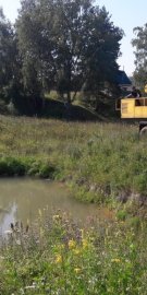 Пожарный пруд